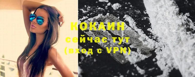 Cocaine FishScale  Гудермес 